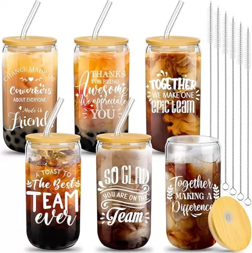 6 Set Employee Appreciation Gifts Thank You Gifts for Staff Coworker Team 16 oz Can Shaped Beer Glass Cups with Lids Straws Brushes for Teacher Thanksgiving Christmas(Inspirational Style)