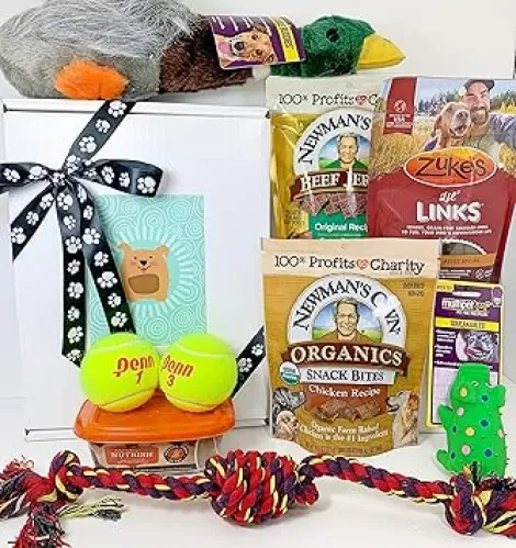 Deluxe Dog Gift Box Basket with 4 Grain Free Gluten Free Treats and 5 Toys for A Favorite Canine Fur Baby Perfect for Dog Lover Dog Birthday Dog Dog Gift for Furry Pet Friend- Prime