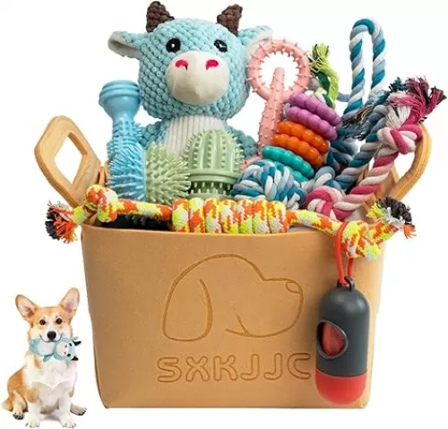 Dog Chew Toys for Teething, Boredom, Toothbrush, 18 Pack Puppy Toys with Rope Toys, Balls and Squeaky Toys for Small/Medium Breeds