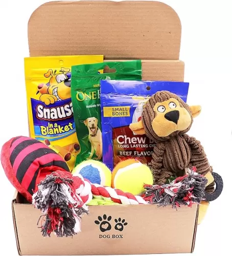 Dog Gift Box Set with Pet Toys Treats Snacks