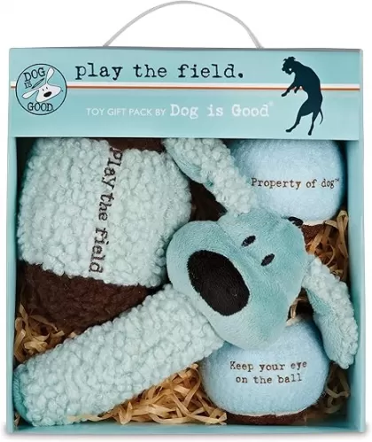Dog Is Good 4-Piece Dog Toy Gift Box – Play The Field Plush Toys Great for Games of Fetch to Exercise Your Dog