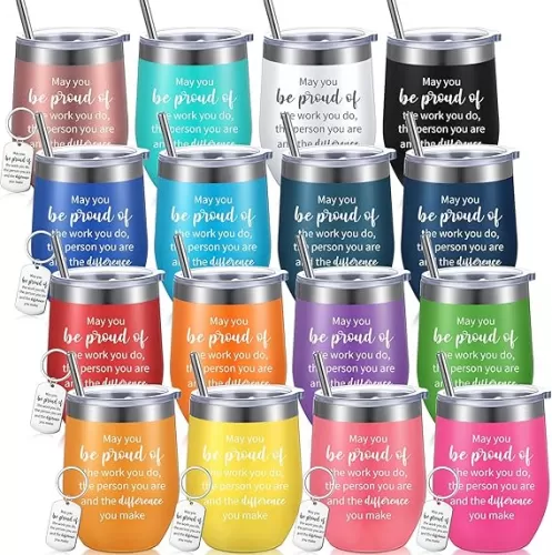 Inbagi 16 Pcs Thank You Gifts Inspirational Wine Tumbler with Straw Employee Appreciation Cups and Keychain Set -may You Be Proud Stainless Steel Tumbler Cups for Teacher Colleagues(Multi Colors)