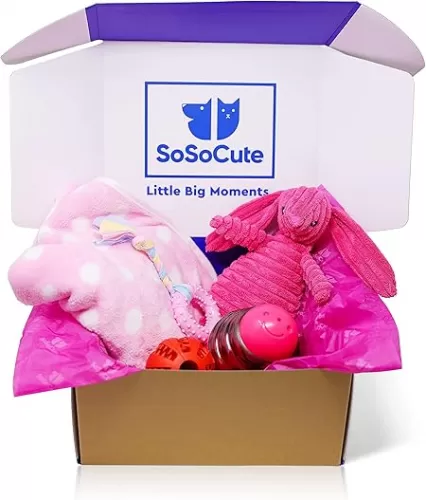 Pink Dog Gift Box - Puppy Chew Toy Set of 5 - Care Package with Dog Blanket, Squeaky Plush, Rubber Puppy Teether, Teething Ball, and Treat Ball for Small and Medium Dogs
