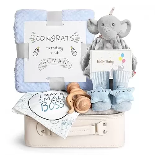 Baby Shower Gifts, Baby Boy Gift Basket Set Newborn Blanket Elephant Lovey Baby Security Blanket Wooden Rattle Toy, Funny Bibs Socks & Greeting Card, New Boys Baby Gift Essentials