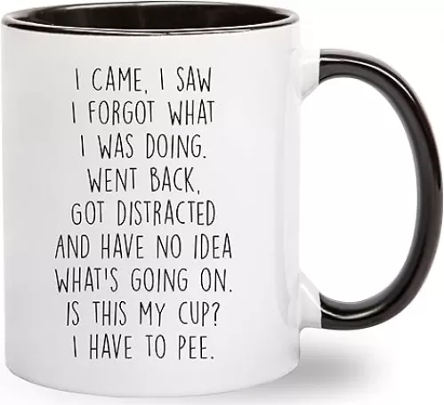 I Came I Saw I Forgot What I Was Doing Coffee Mug - Funny Senior Citizens Sarcastic Gifts Old People Elderly Mom Dad Grandma Grandpa - Presents Mothers Day Fathers Day Birthday - 11 oz Novelty Cup