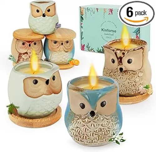 Scented Candles Birthday Gifts for Women, Owl Gifts for Women, 6 Pack Novelty Owl Aromatherapy Candle Bulk Gift for Birthday Mother's Thanksgiving