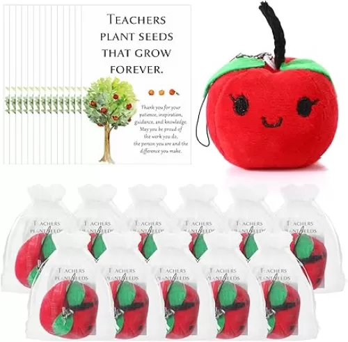 HyDren 20 Set Back to School Gifts for Teacher Women Men Apple Shape Pendant with Appreciation Cards Inspirational Teacher Gifts