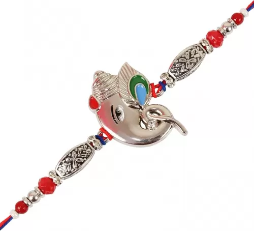 TIED RIBBONS Raksha bandhan Rakhi for Brother | Mini Card | Roli Tika - Rakhi Gifts for Brother